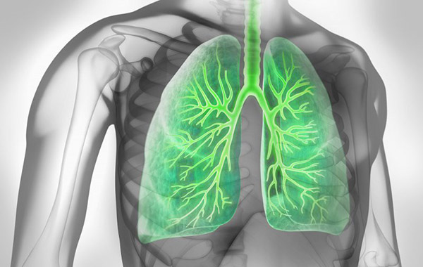 Asthma bronchiale Asthma bronchiale
