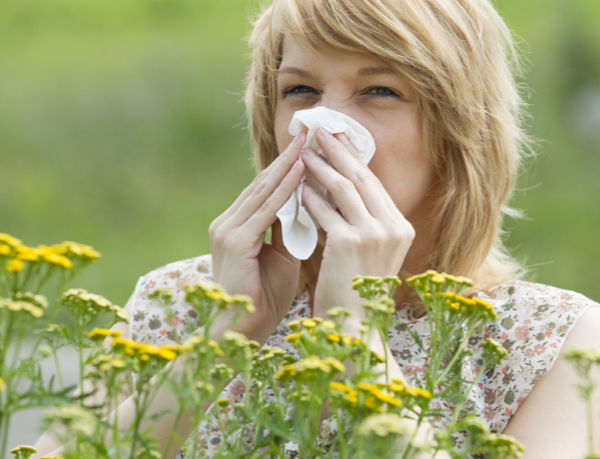 Asthma bronchiale – Ursachen Asthma bronchiale – Ursachen