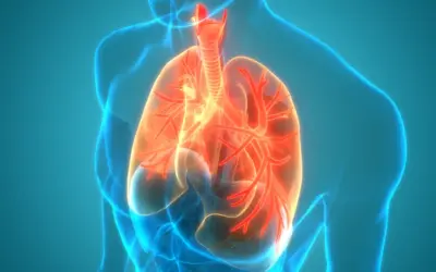 Asthma bronchiale – Definition