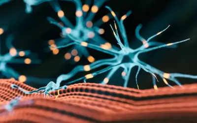 Neuromuskuläre Erkrankungen